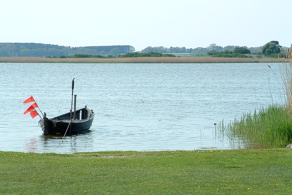 Balmer See